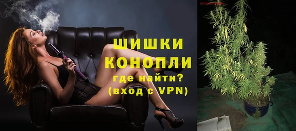 молекула духа Козельск