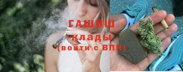молекула духа Козельск