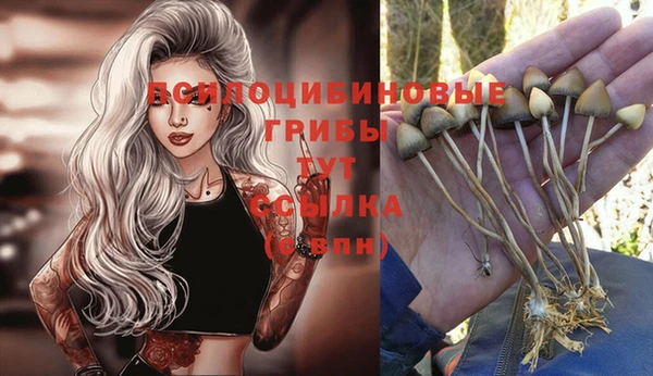 молекула духа Кодинск