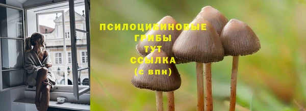 молекула духа Козельск