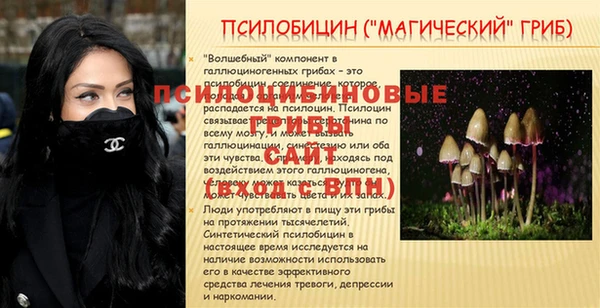 молекула духа Кодинск