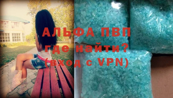 молекула духа Козельск
