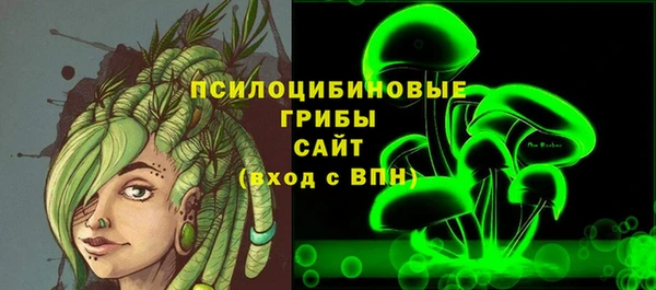 молекула духа Козельск