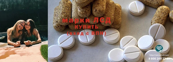 молекула духа Козельск